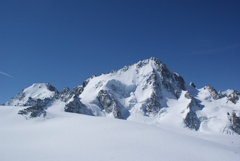 Aiguille du Chardonnet