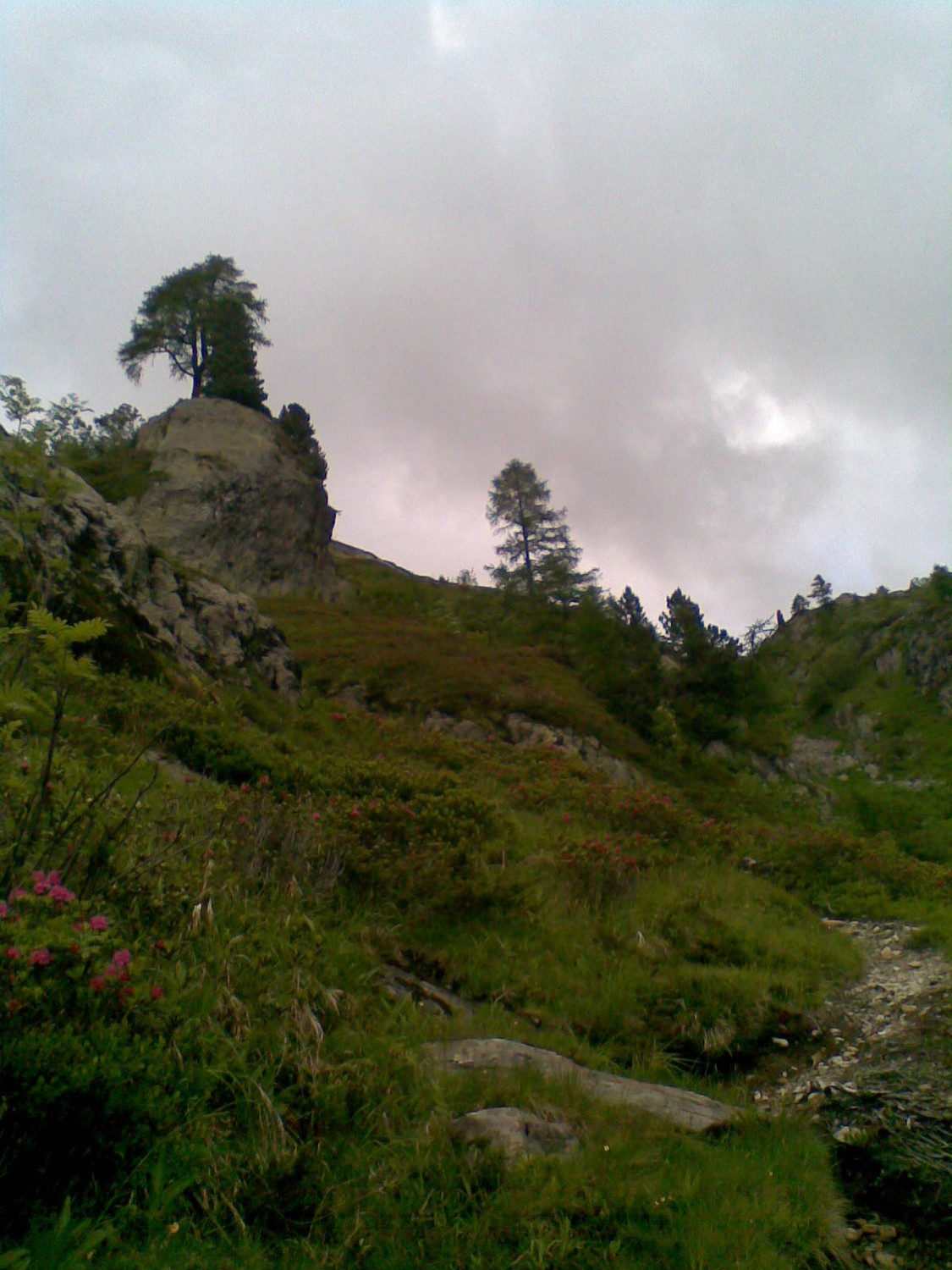 Chemin