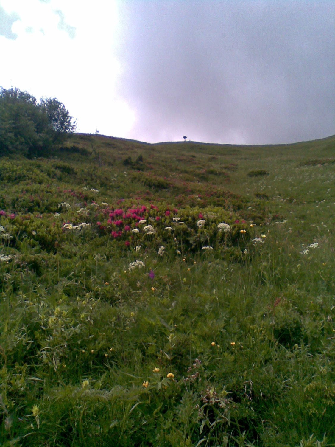 Chemin de descente