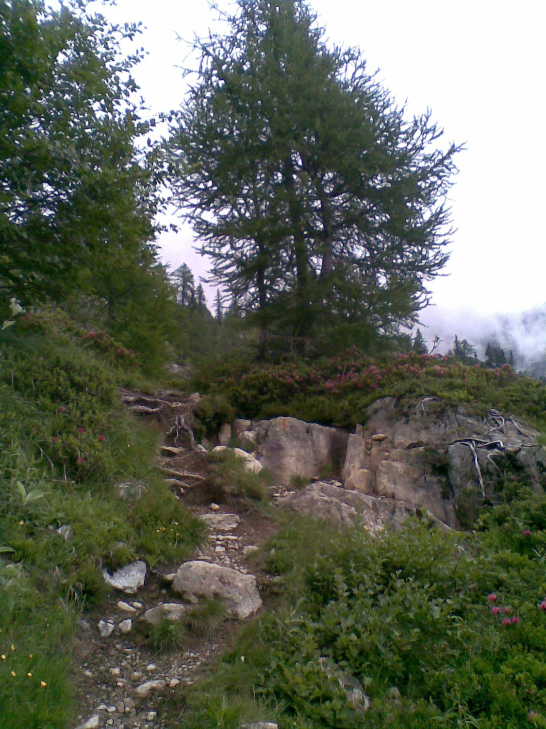 Chemin de montée