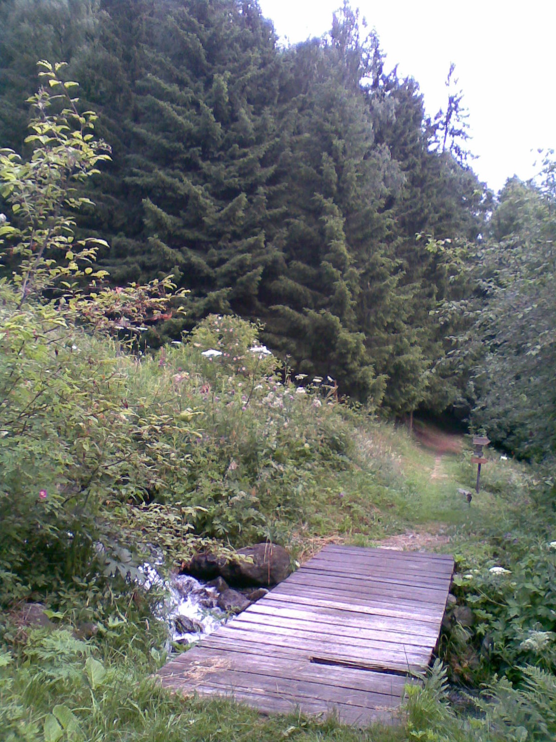 petit pont
