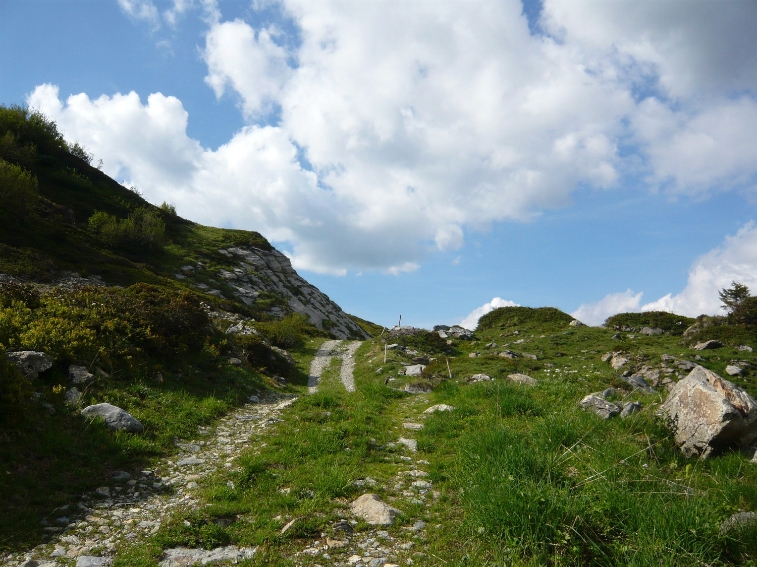 Jolie piste d'alpage