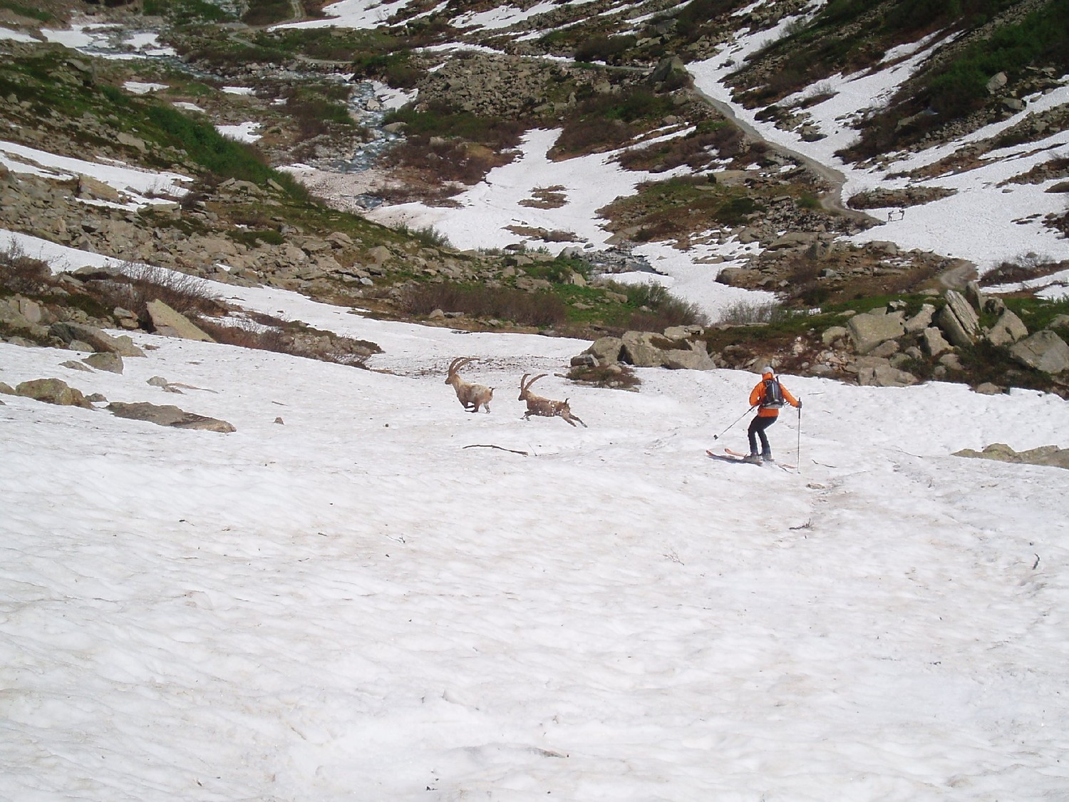 Inseguimento.......e fine della neve.