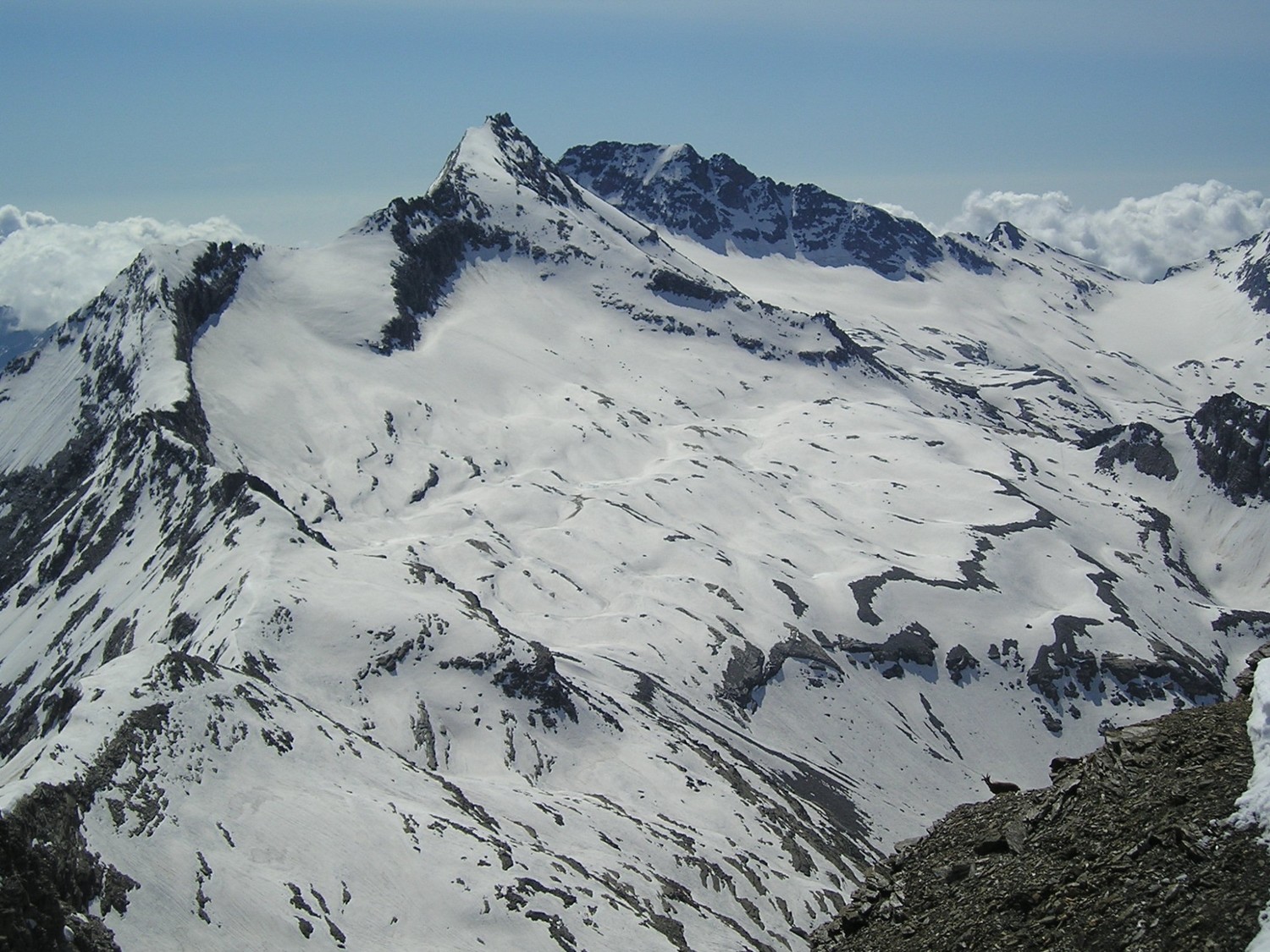 Levanna(s). Un intrus s'est caché sur la photo :o)