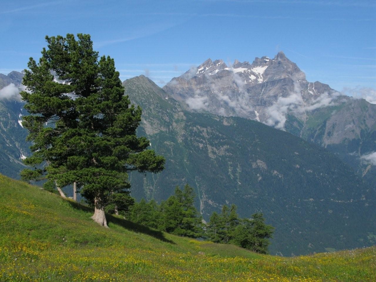Les Dents du Midi en face