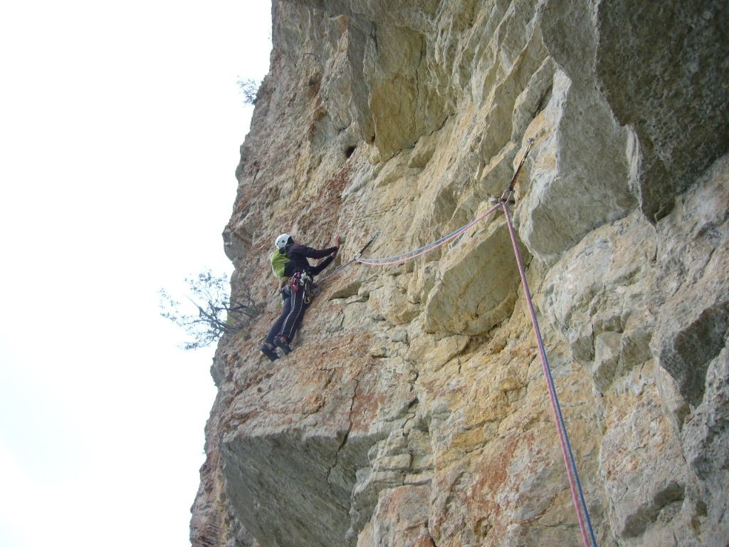 duralex L1