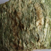 Gneiss à chlorite (couleur verte), roche métamorphique rubannée.