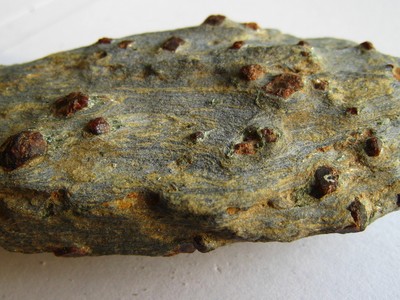Micaschiste à cristaux néoformés de grenat, roche métamorphique. Micaschiste à cristaux néoformés de grenat, roche métamorphique.