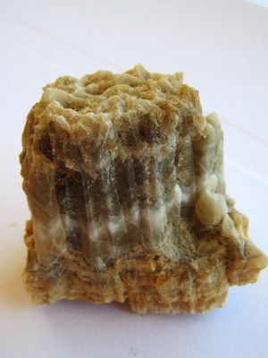 Aiguille de calcite (minéral composant le calcaire) Aiguille de calcite (minéral composant le calcaire)