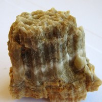 Aiguille de calcite (minéral composant le calcaire)
