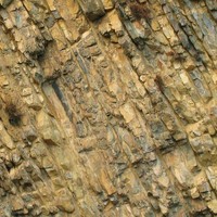 strates sédimentaires marno-calcaires entre Chamaloc et Rousset (Vercors)