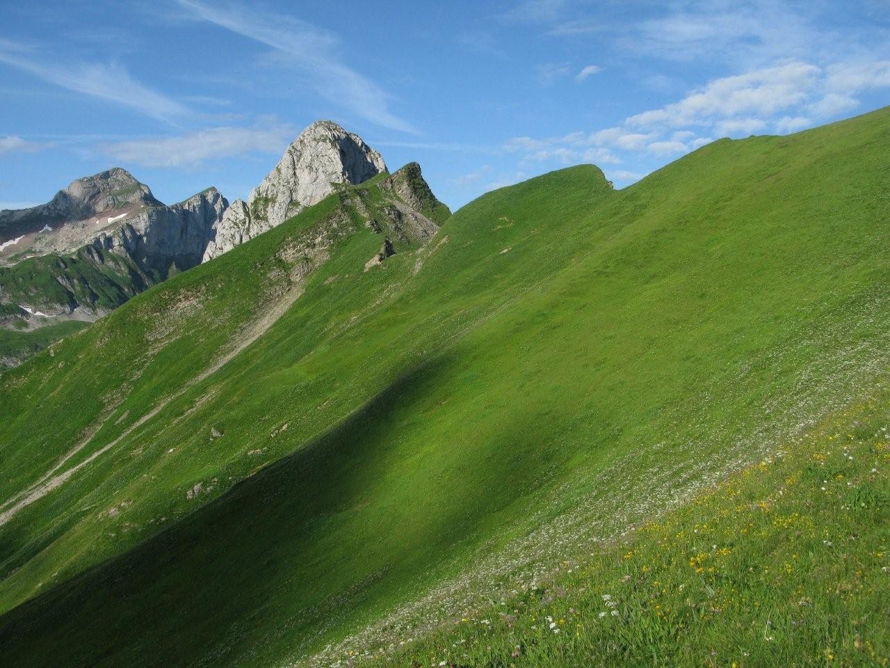 Gardy dans la combe ...