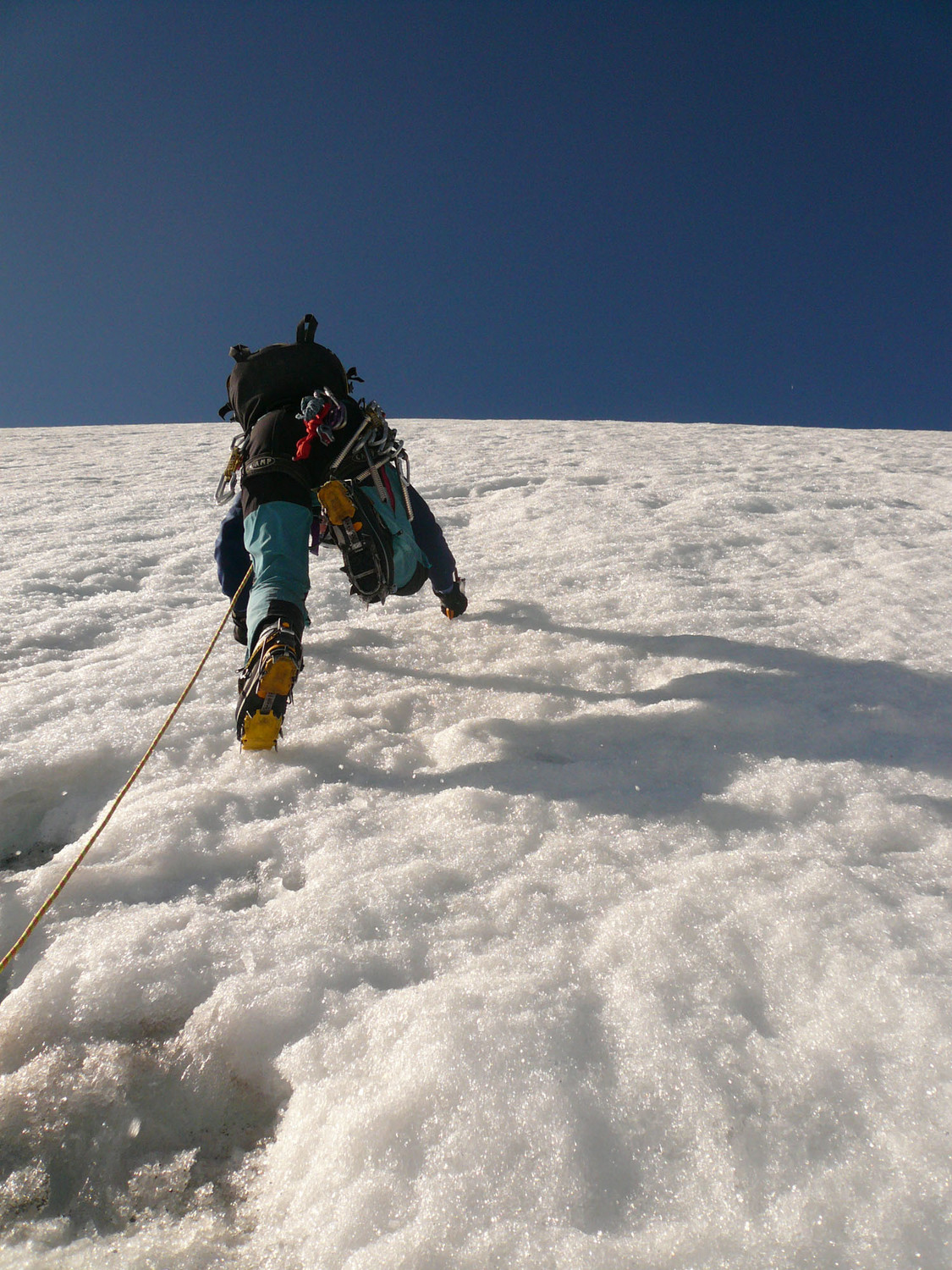 Dans la glace