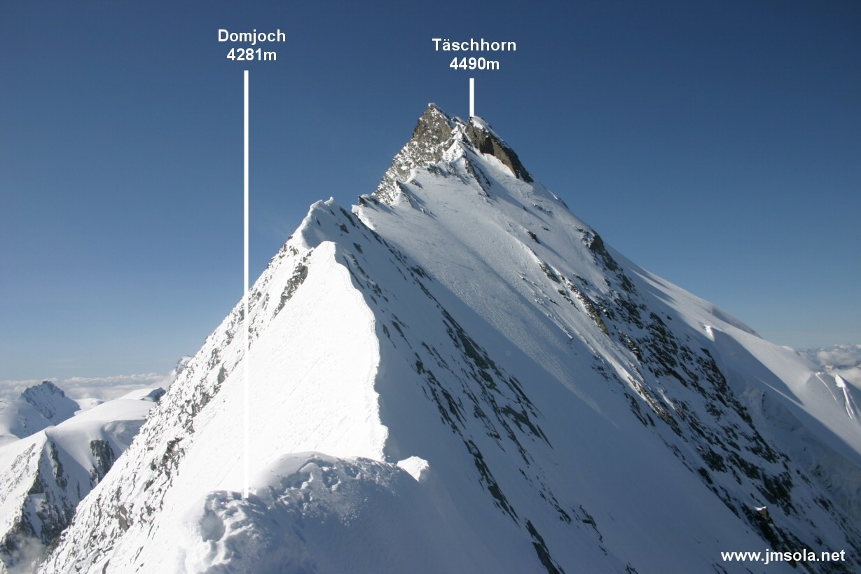 L'arête Täschhorn-Dom, vue depuis le Domjoch