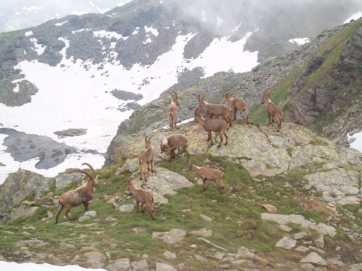 Affollamento al colle della Salza