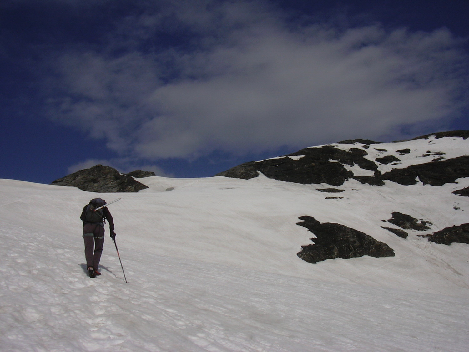 Sous le col