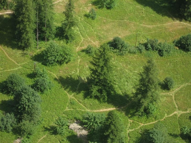 Prairie d'Ailefroide.