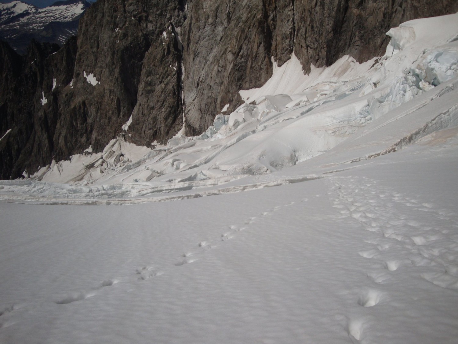 Glacier du Brouillard