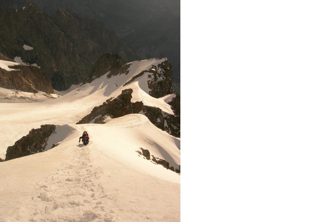 arête sommitale de La Meije Oriental