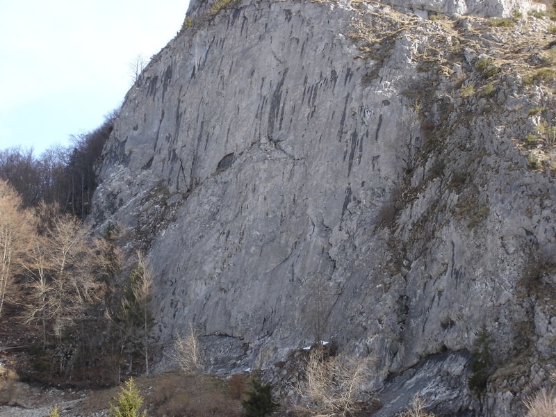 Vue d'ensemble