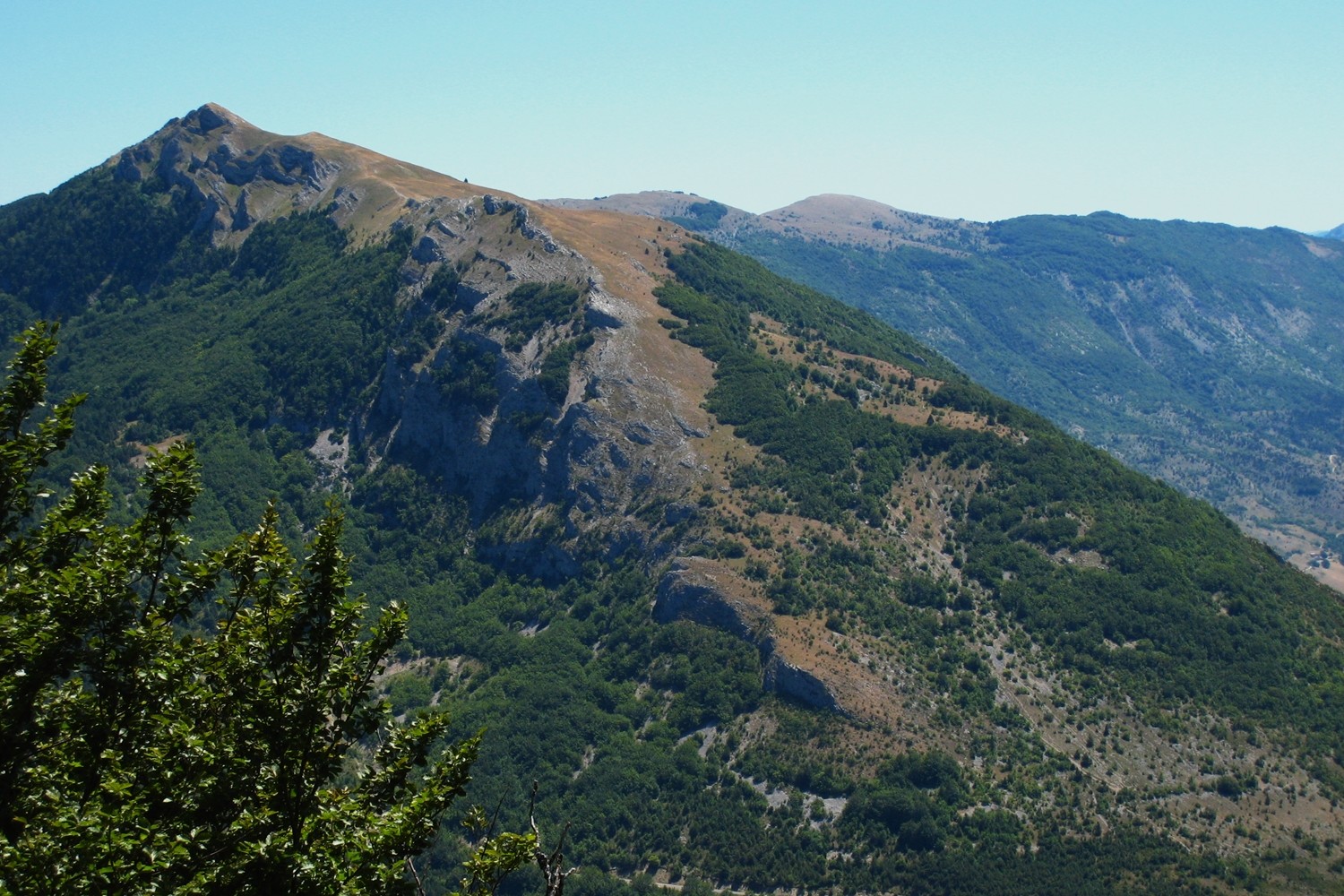 Le Grand Delmas (face N) vu du Pradou