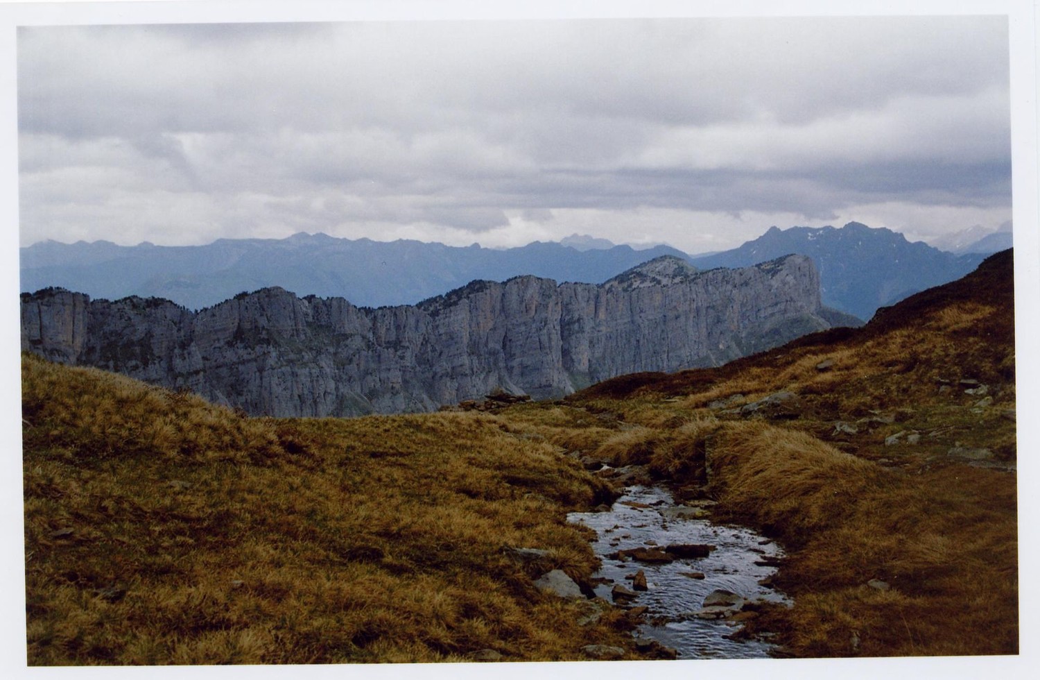 gris et marron