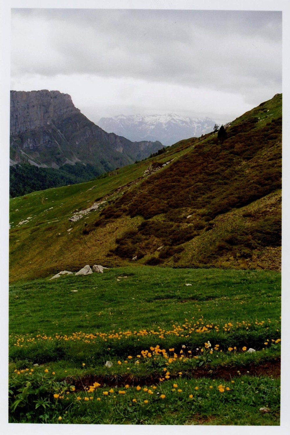 retour dans la vallée