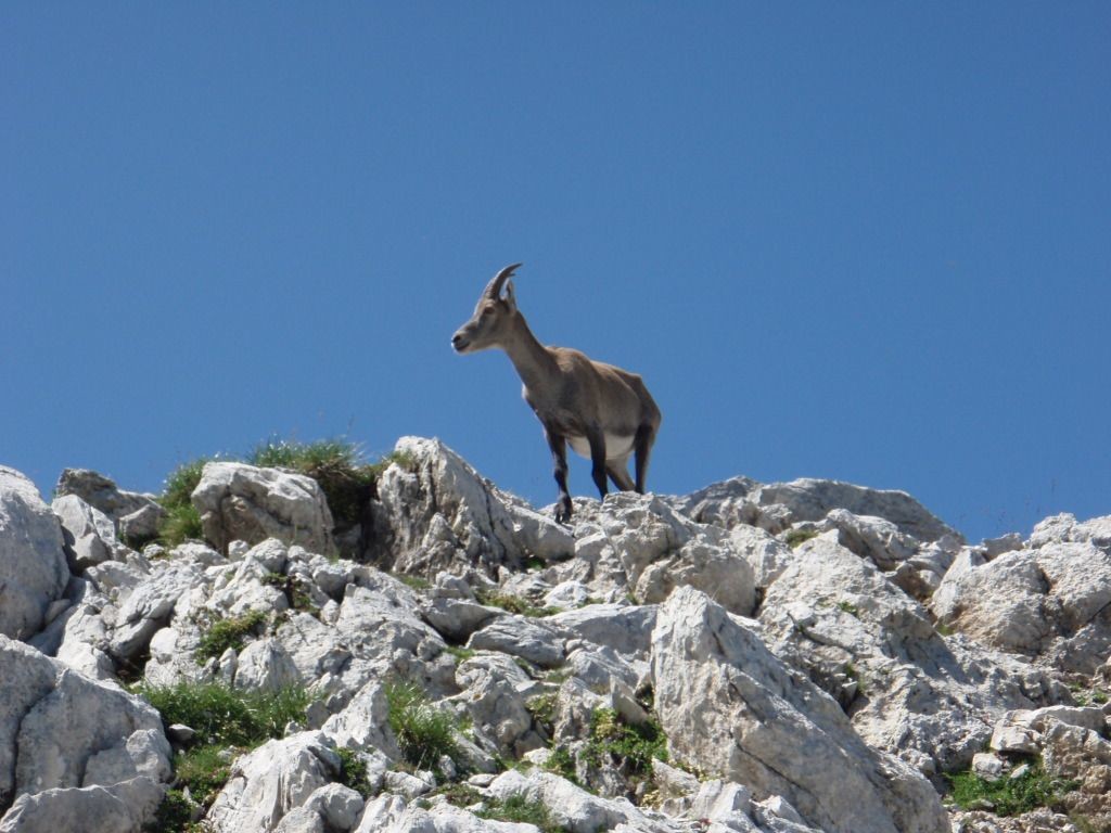 Accueil au sommet de Pointe Blanche