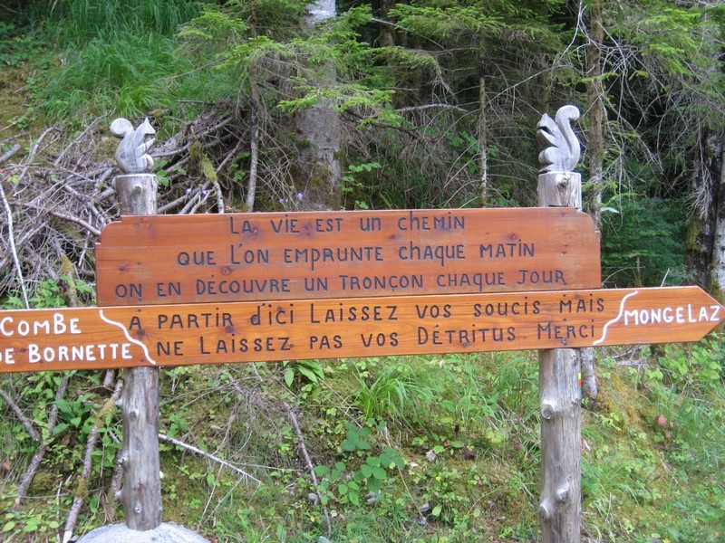 Dicton du jour