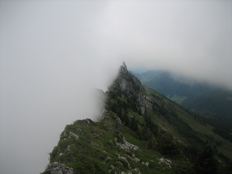 l'arête