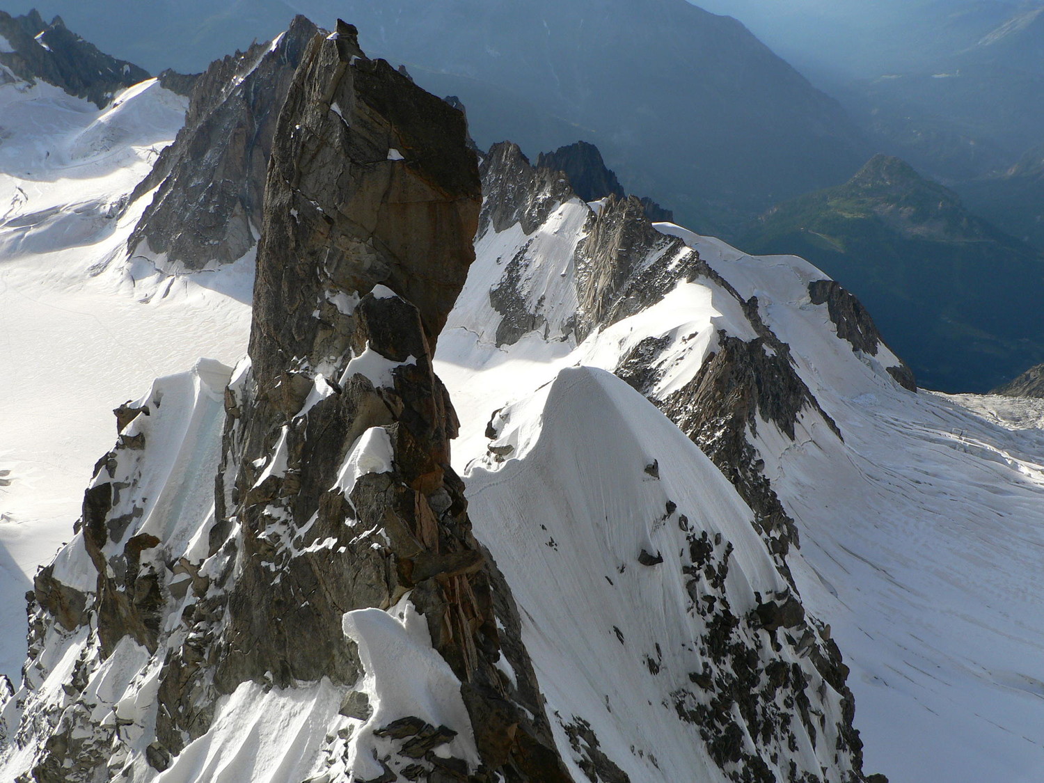 La pointe de l'Androsace