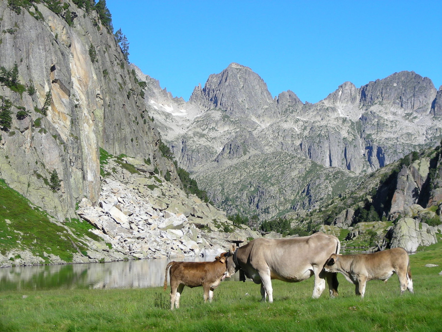Une scène d'amour dans un océan de granite