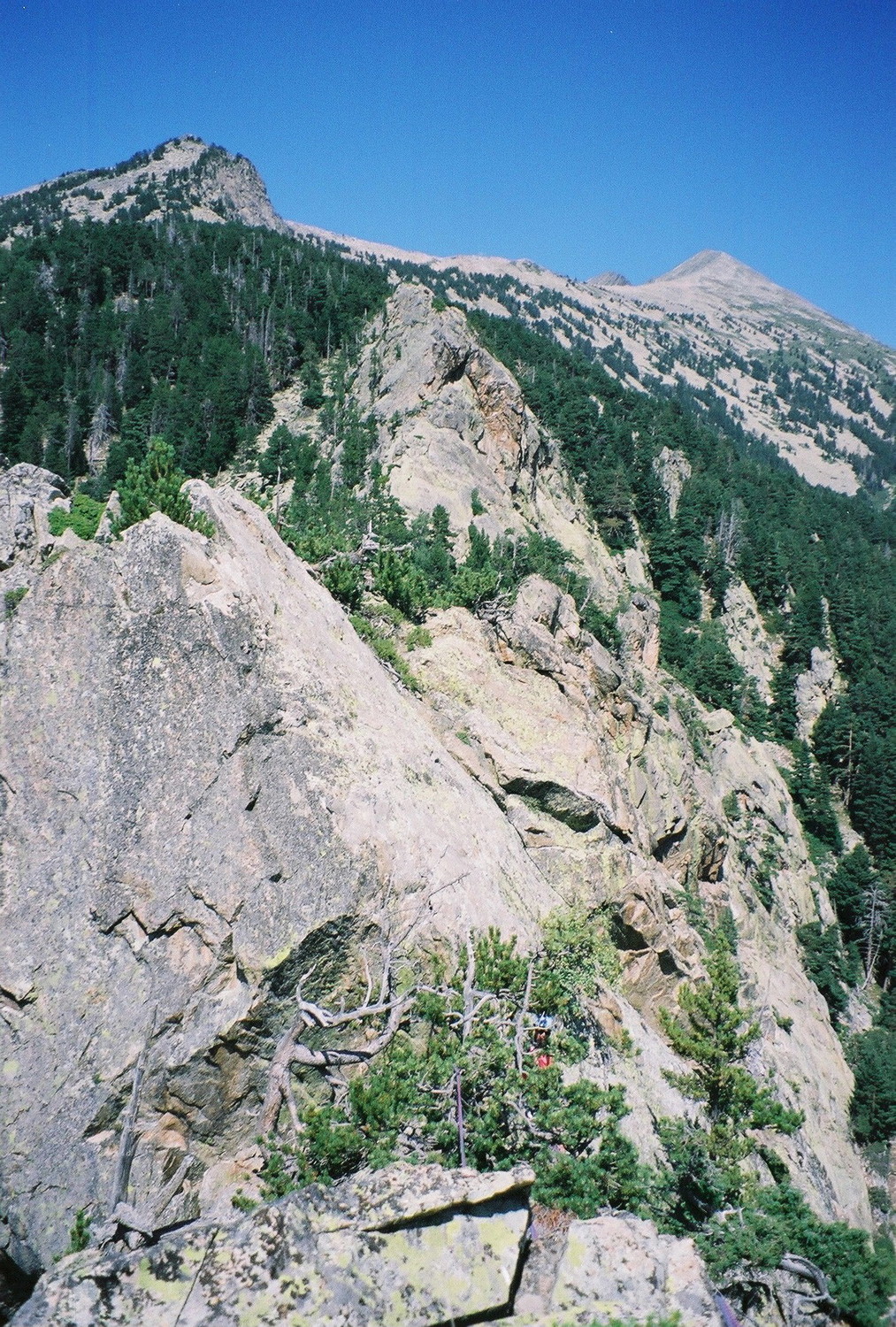 L'arête somitale