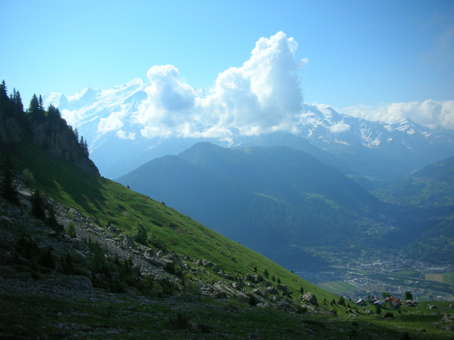 vue d'au dessus varan