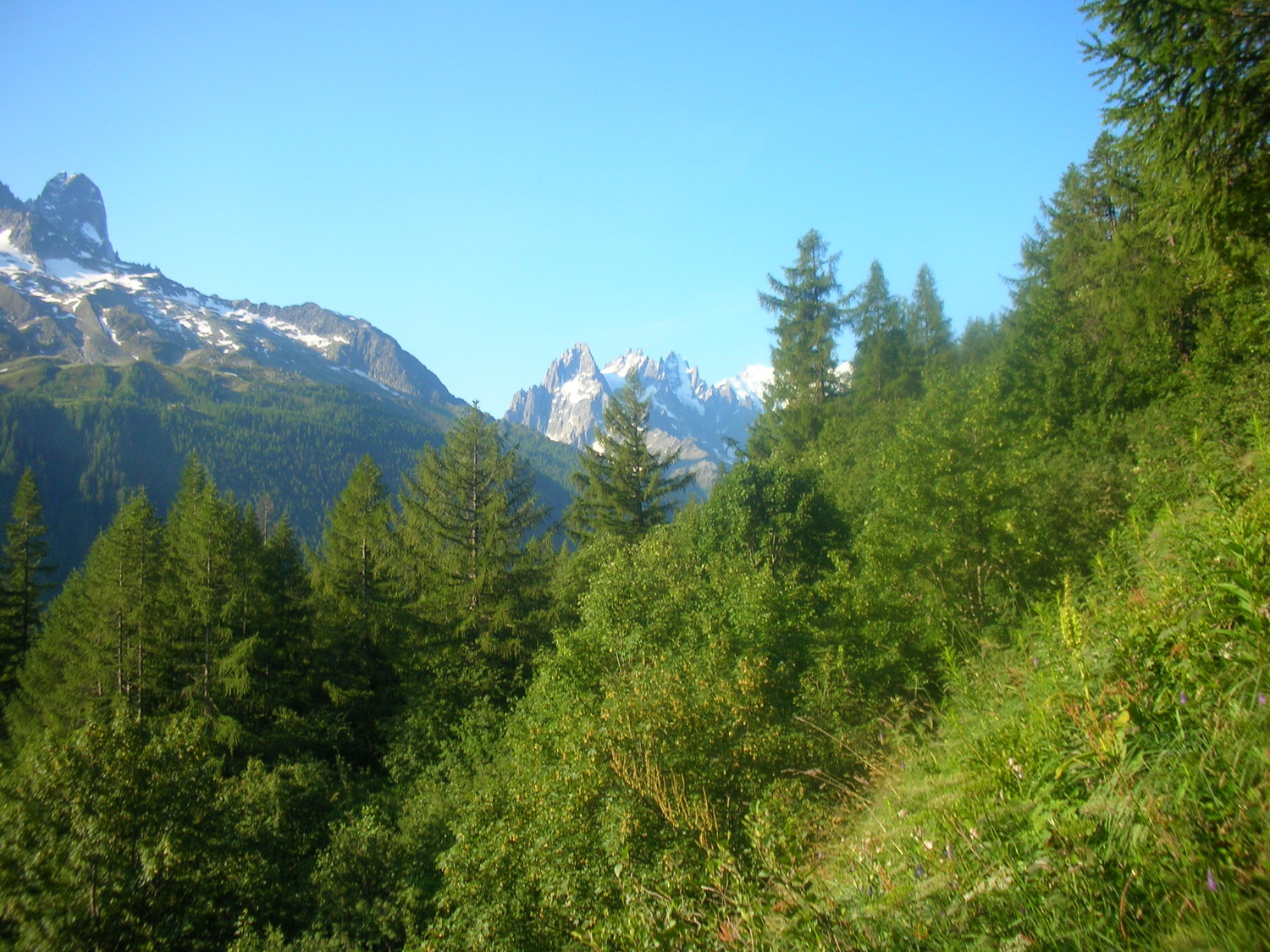 en montant depuis le col des montets