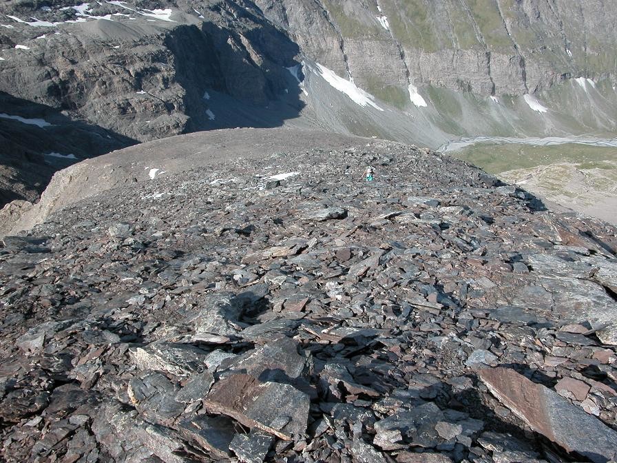 Sur la crête est en montant à la Pointe Sud de la Grande Félouse