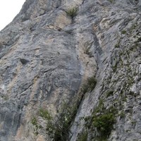 bas de la voie