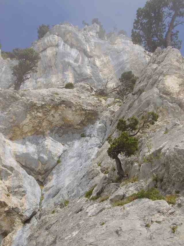 L3 et début traversée L4 au dessus de l'arbre