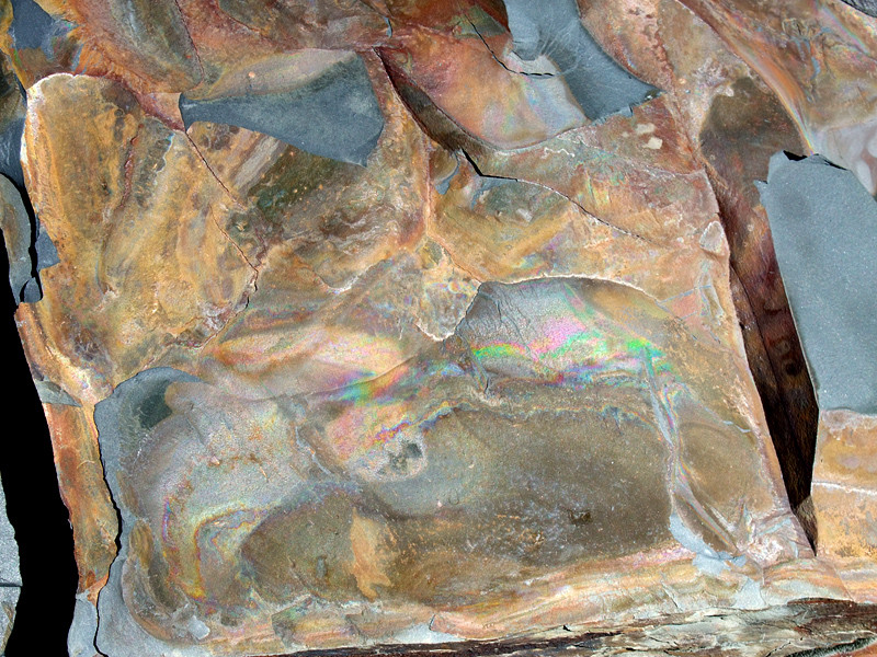 Schiste irisé