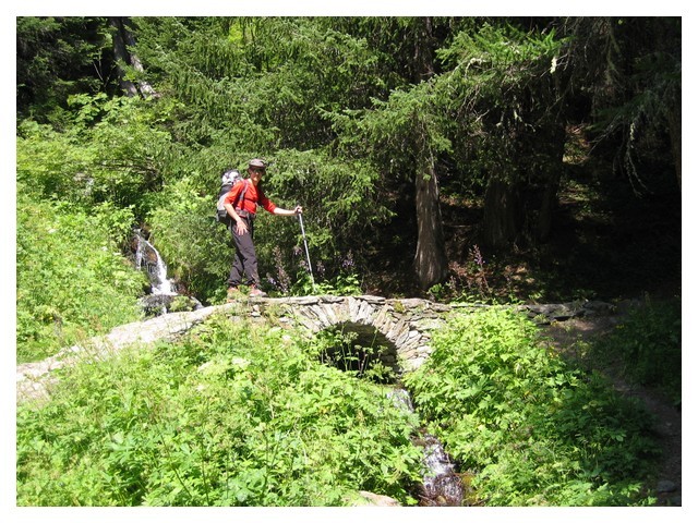 Le sentier dans les mélèzes
