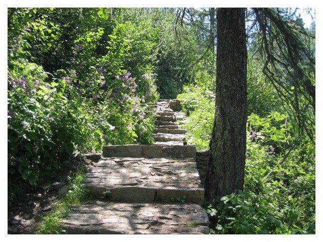 Le splendide chemin allant au refuge deffeyes