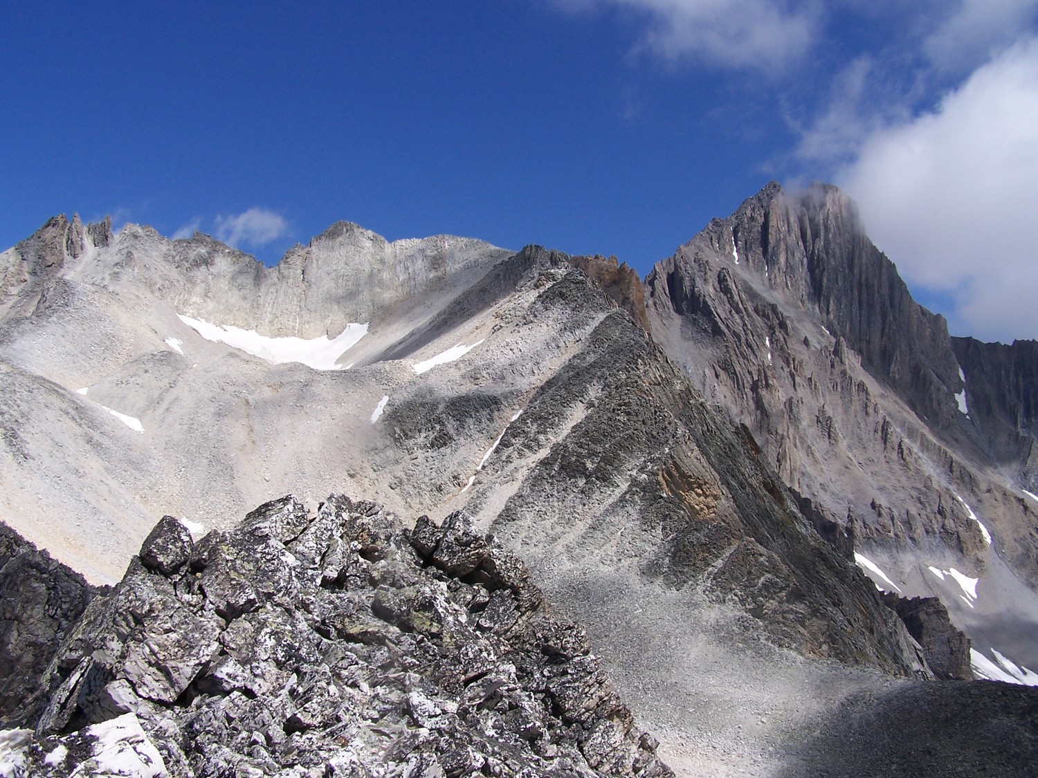 Pte de léché, vue sur la dent arrachée (ptes de la fournache)
