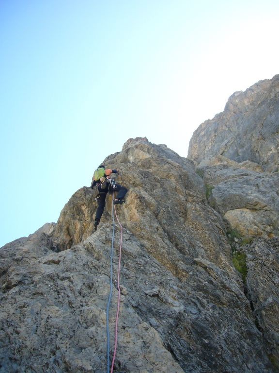 le raisin L3 sur le pilier