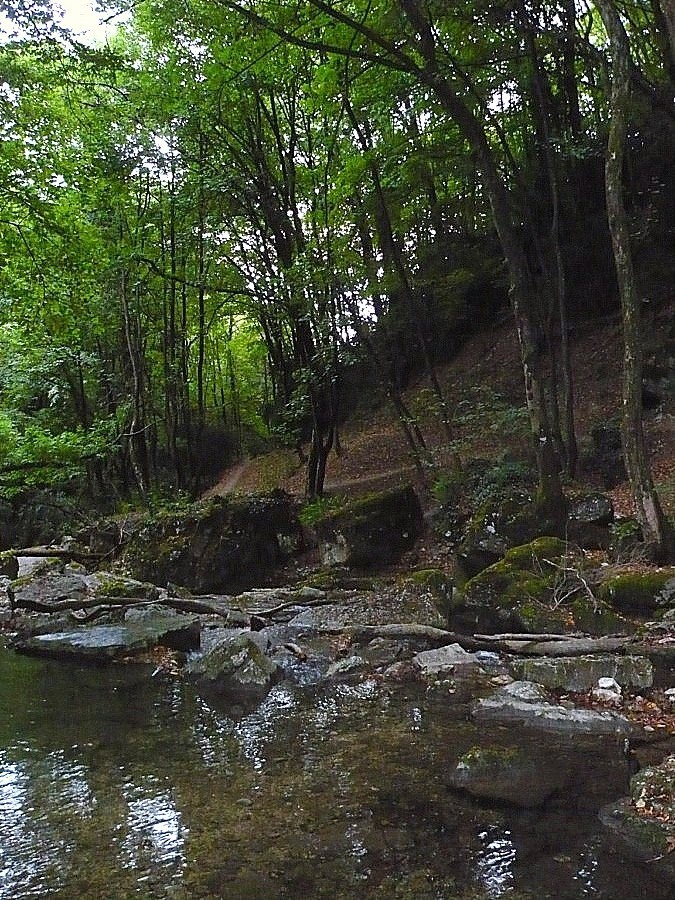 Le sentier le long de la rivière