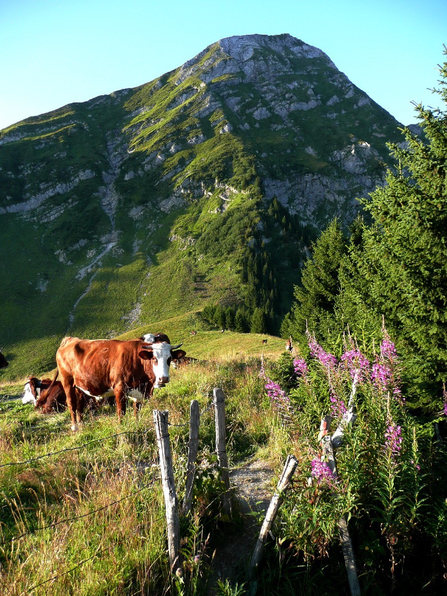 Col de Graydon, sous le col de le Golette (Roc d'Enfer)