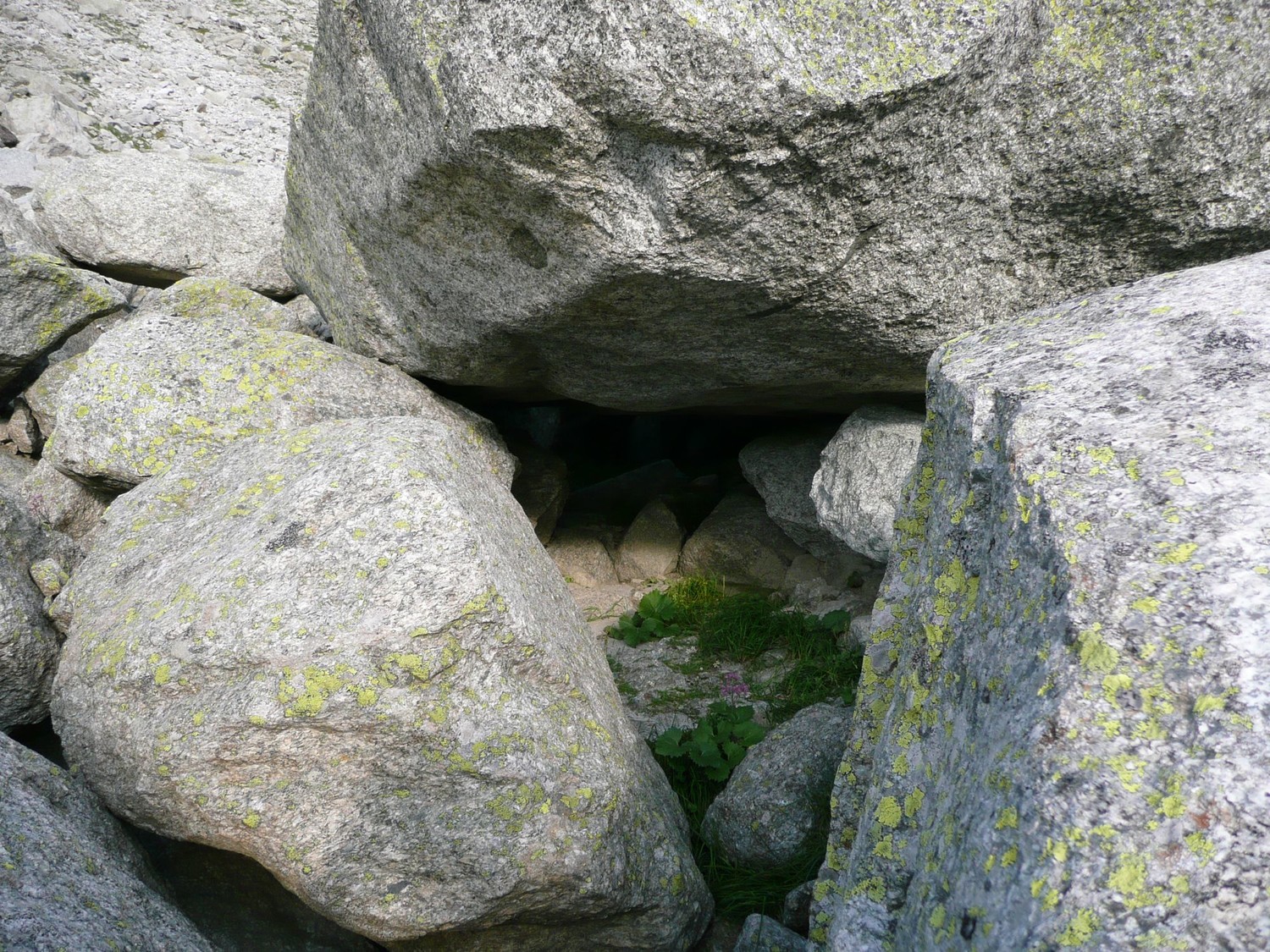 Bivouac abrité