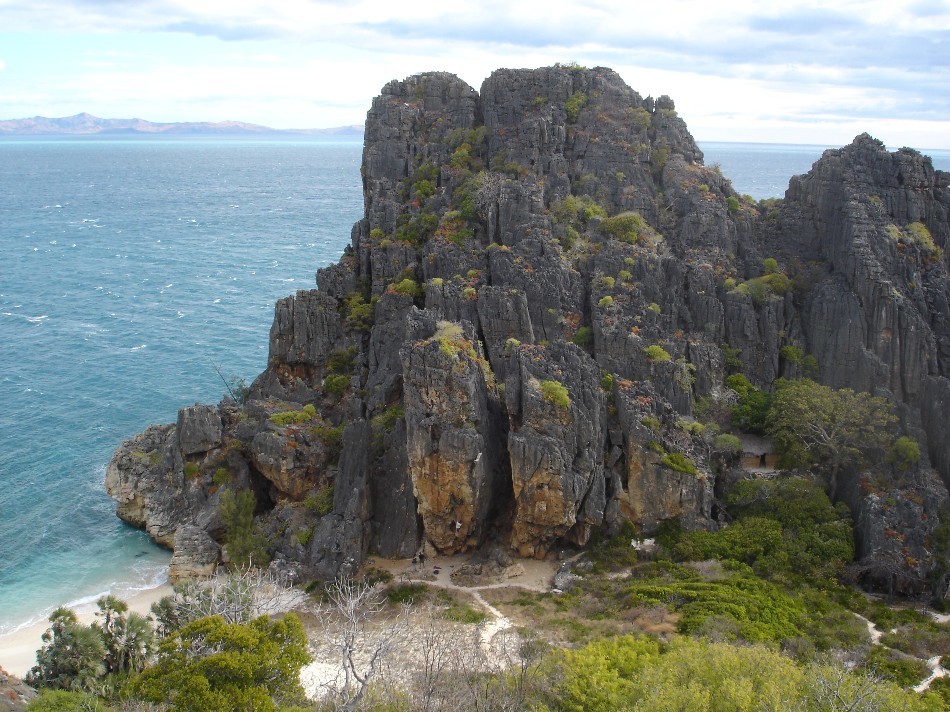 Secteur Oiseaux du Paradis