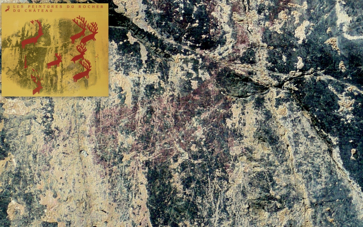 Peintures rupestres