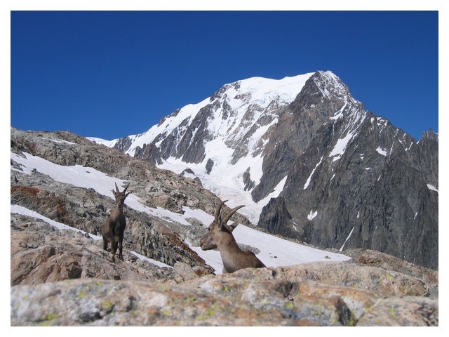 Face Ouest du Mont Blanc, côté italien