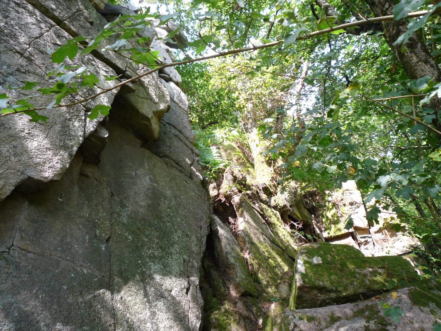 Rocher du Manis, la Dalle du Lierre
